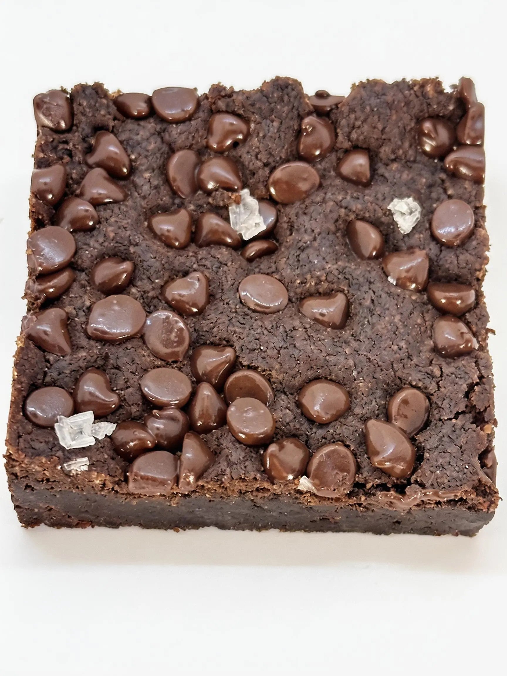 Sea Salt Chocolate Chip Brownie (v/gf) (6pack)