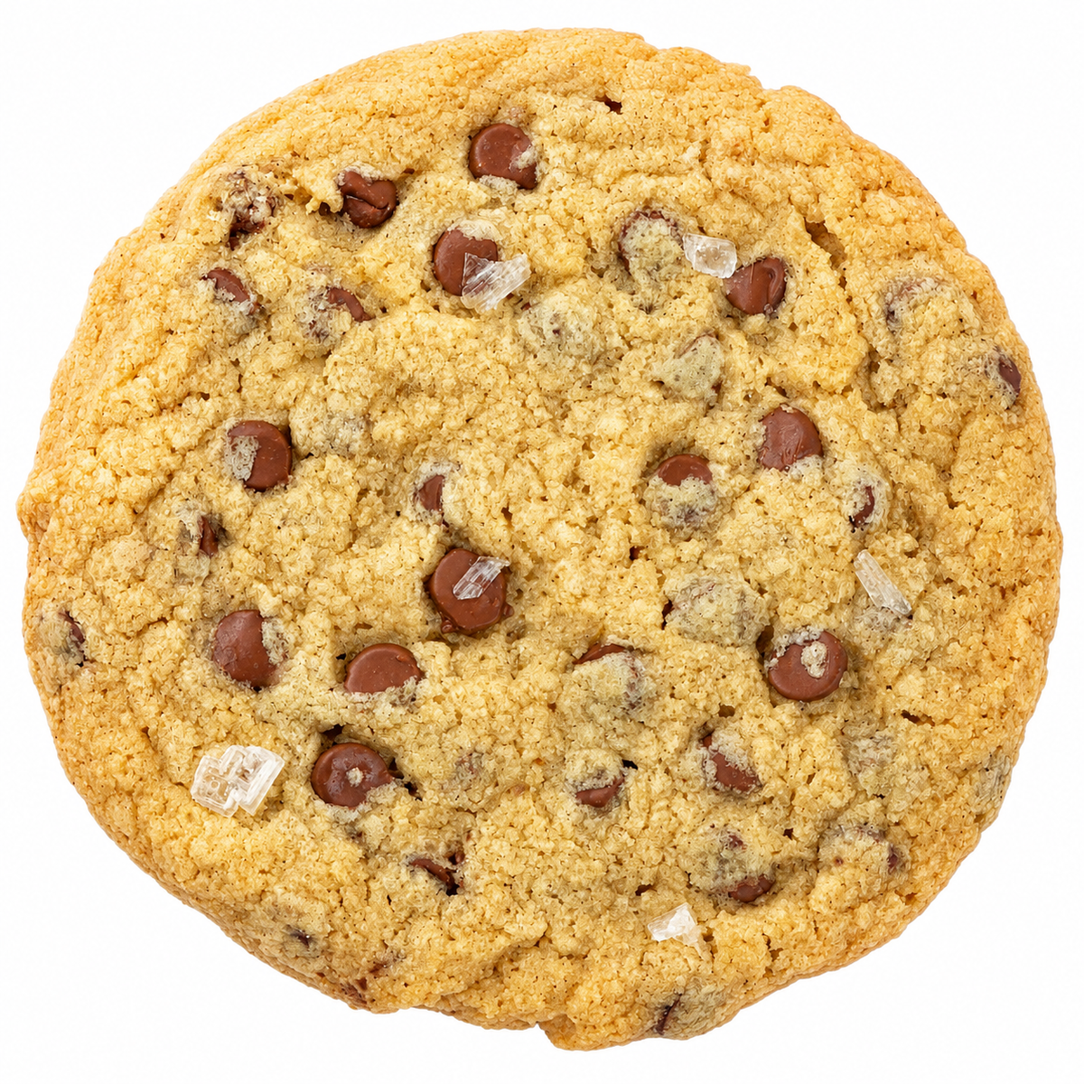Chocolate Chip Cookie with Sea Salt (v/gf) (6pack)