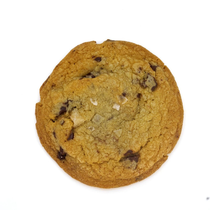Chocolate Chunk with Sea Salt (6pack)